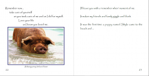 Wilbur the Beach Pig Heidi Fagerberg